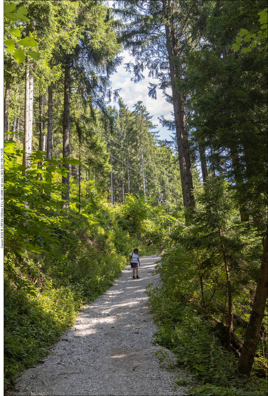 Der Abstieg ist viel steiler, als es auf dem Bild aussieht