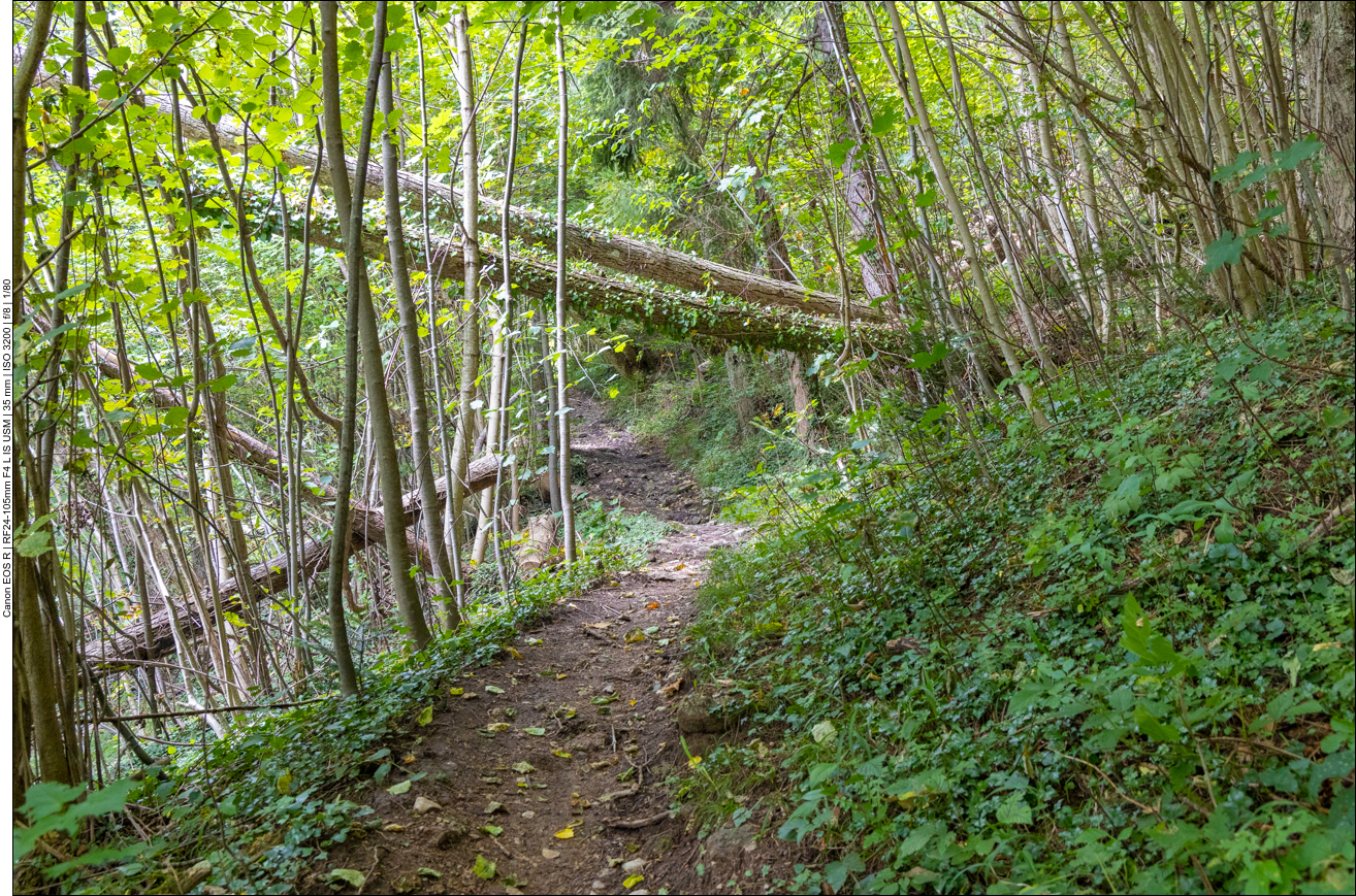 Schließlich finden wir doch noch den rechten Weg