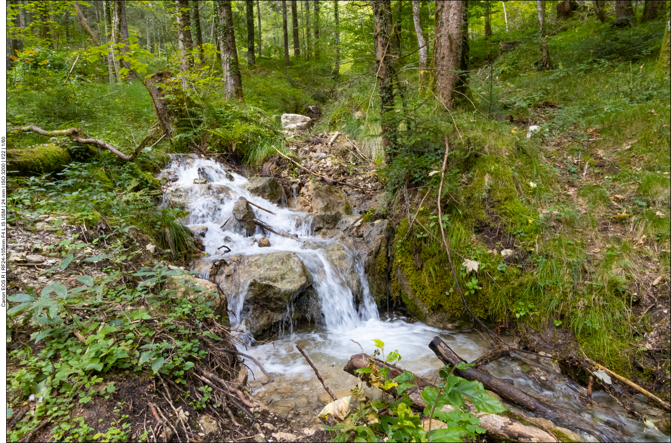 Ein kleiner Bach ... 