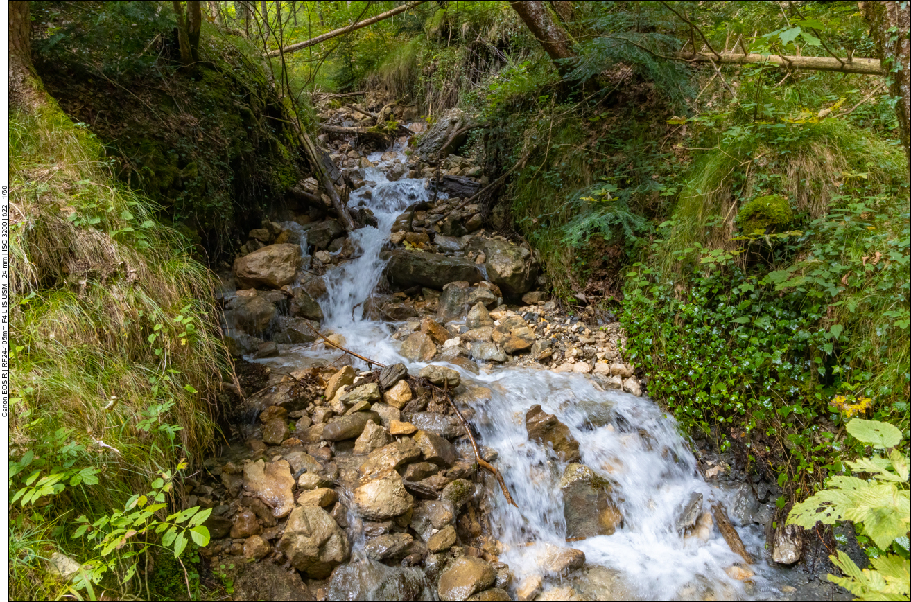 ... begleitet uns ein Stück des Weges