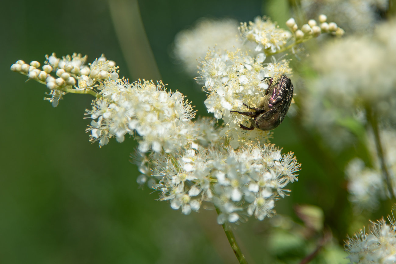 Es scheint zu schmecken ;-)