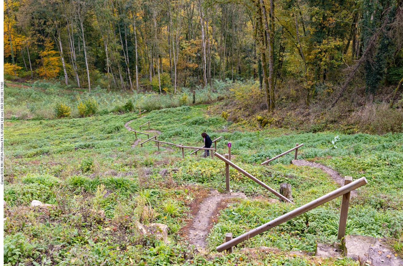 Steile, schmale Treppen ...