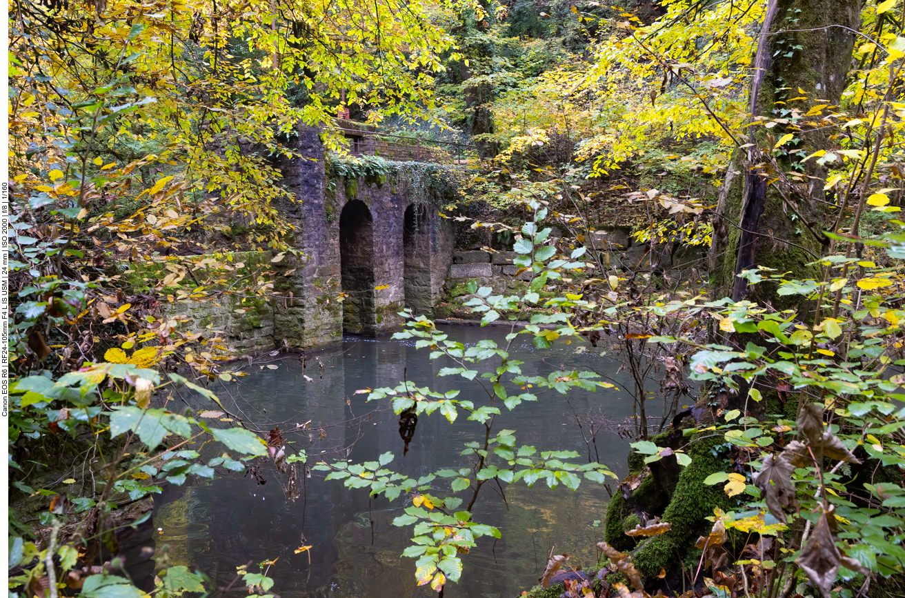 Altes Wehr, das den Bach aufteilte