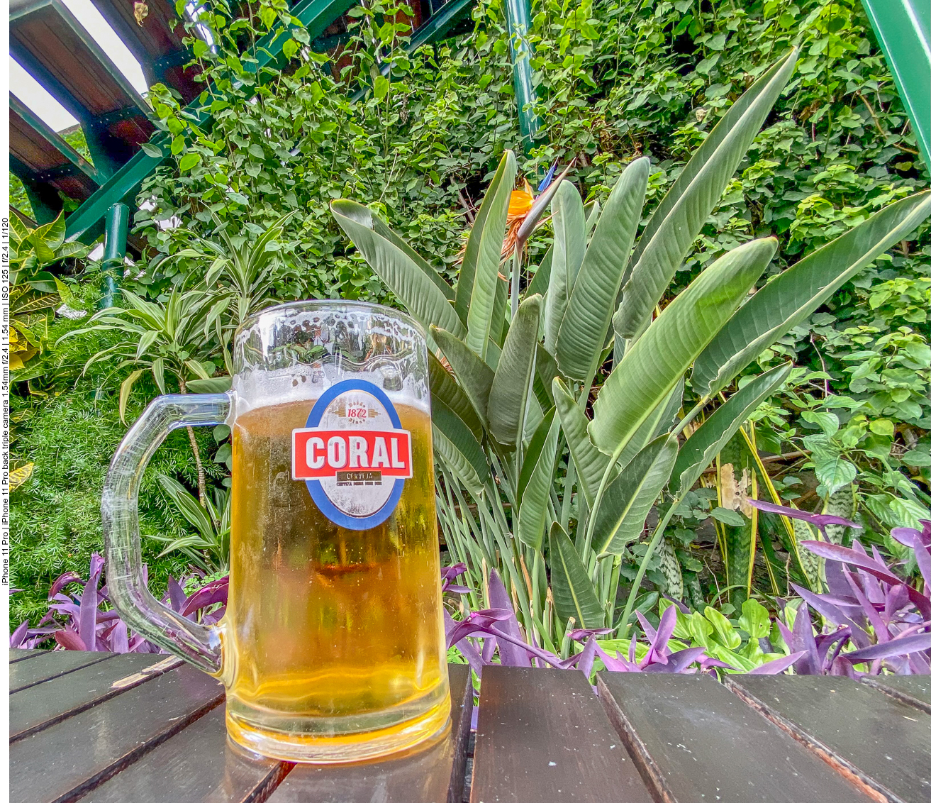 Bier unter paradiesischem Grün