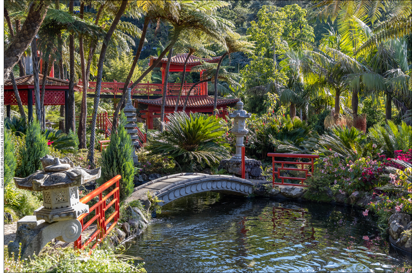 Im "Japanischen Garten"