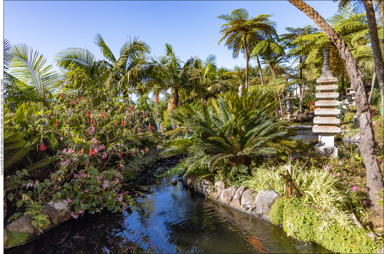 Palmen und Bolivianische Fuchsie neben japanischen Säulen