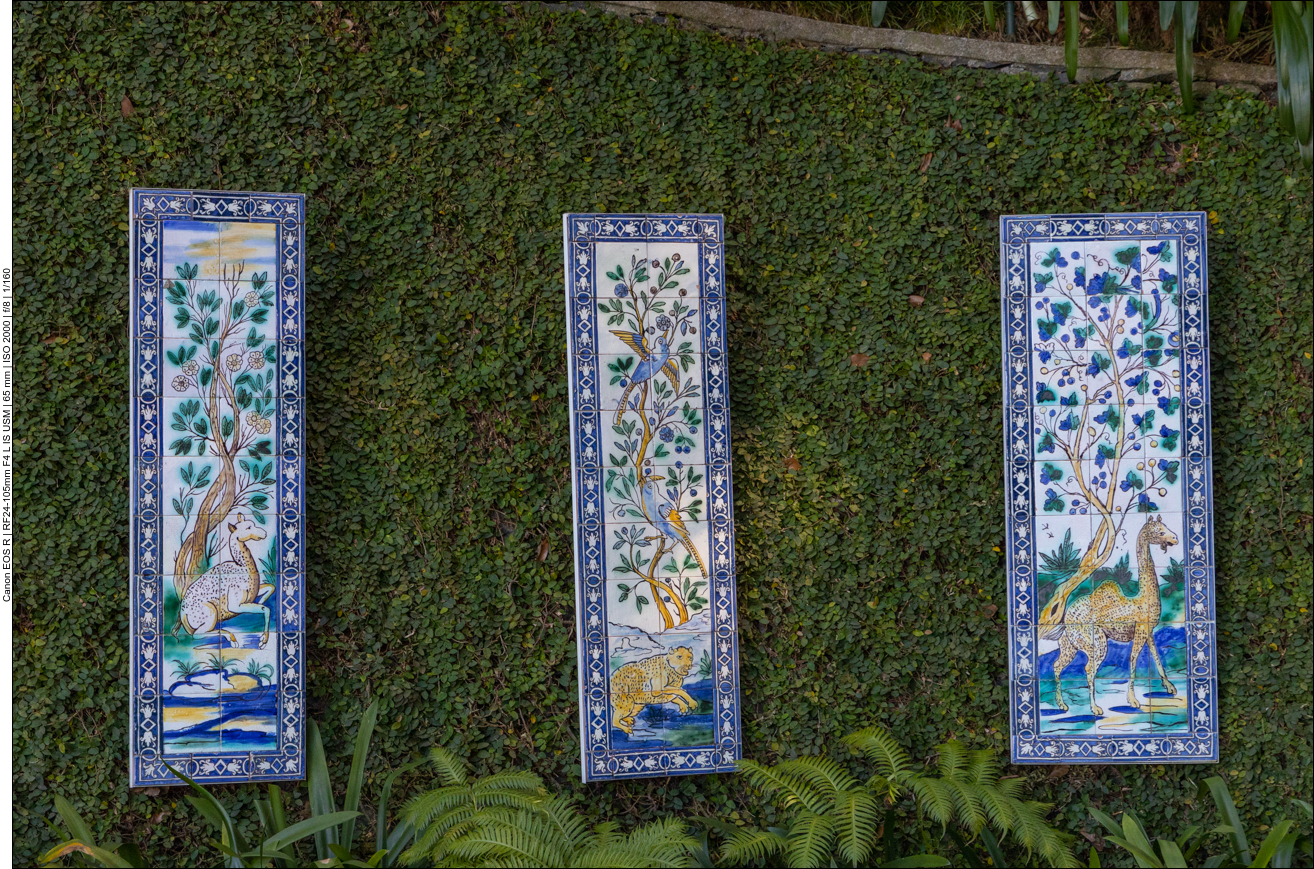 Darstellung tropischer Tiere auf  Kacheln