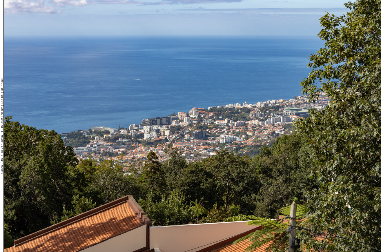 Blick über Funchal auf das Meer