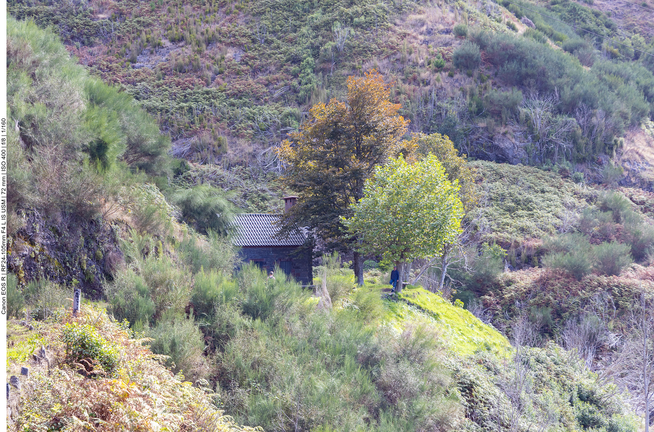 Hütte im Schatten der Bäume