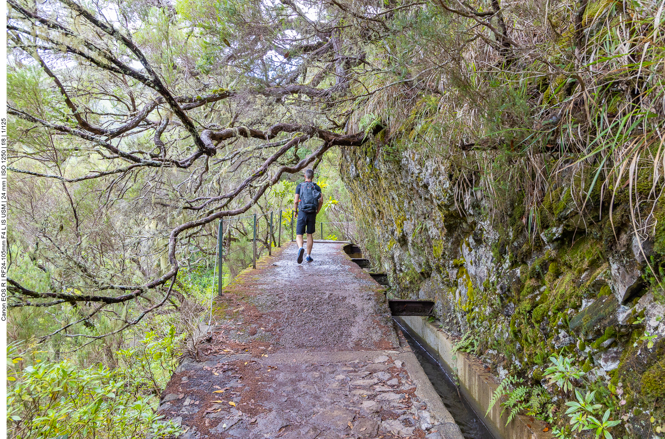 Hier ist der Weg noch etwas breiter ...