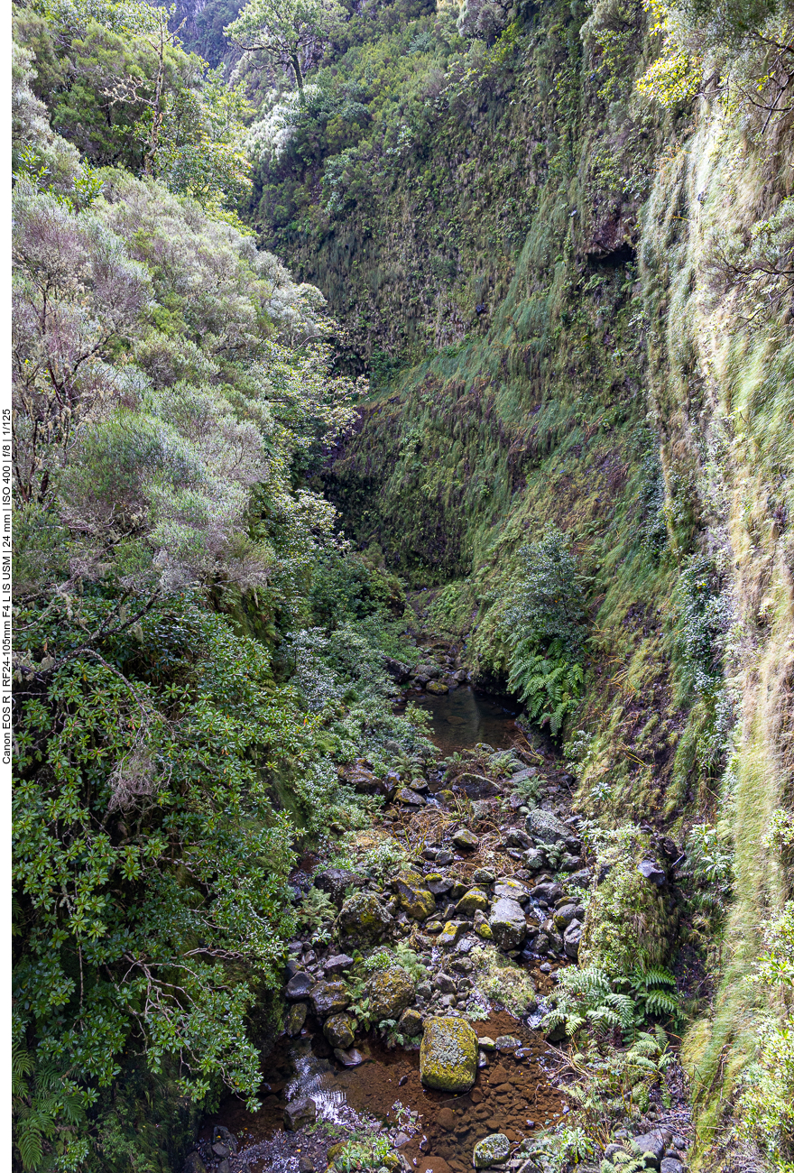 Die Schlucht, deren Wasser vom Wasserfall gespeist wird