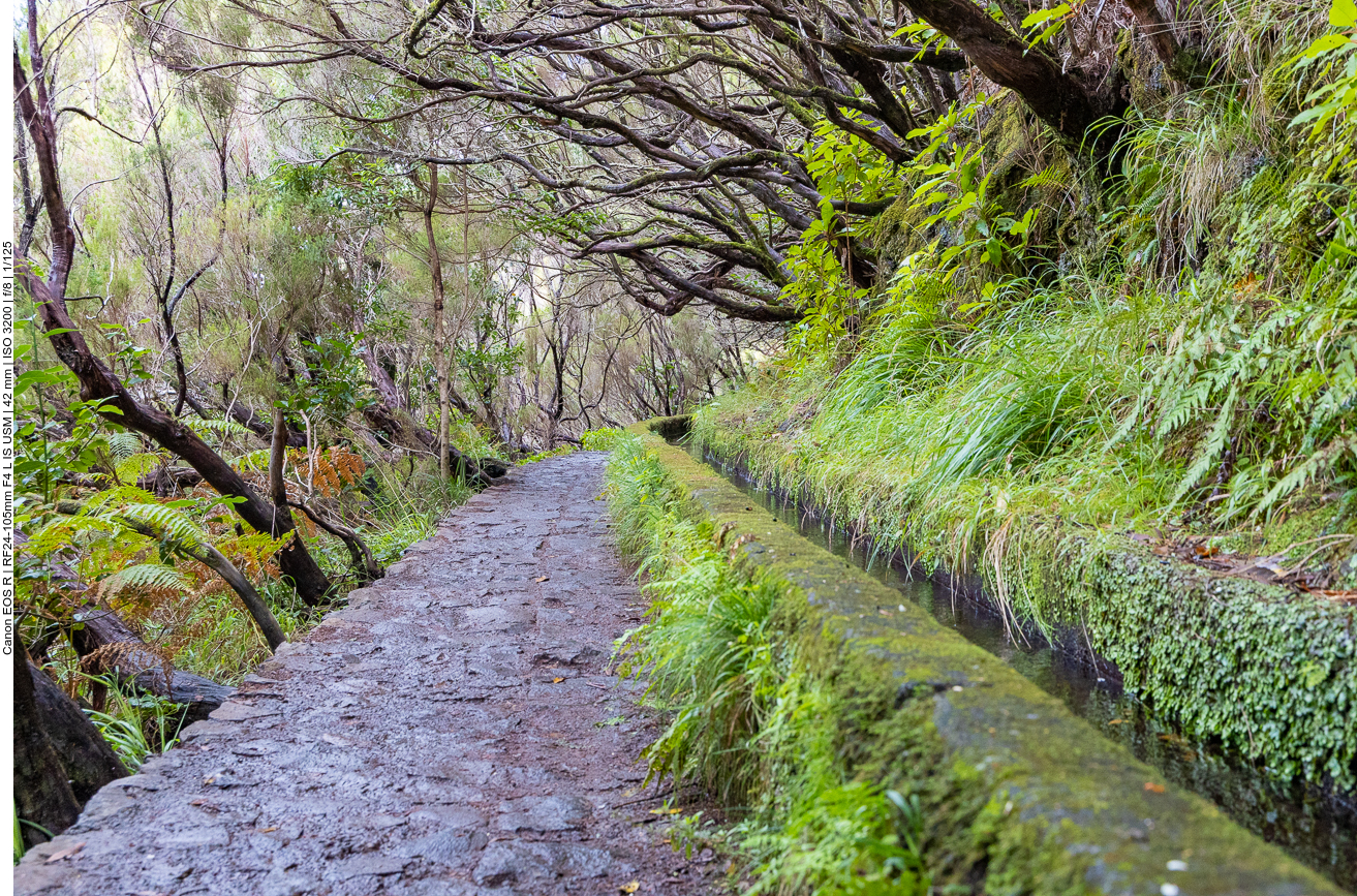 Levada und daneben der Wanderweg