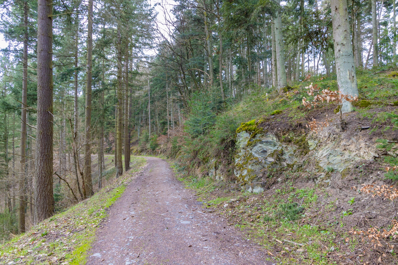 Weiter geht es durch den Wald