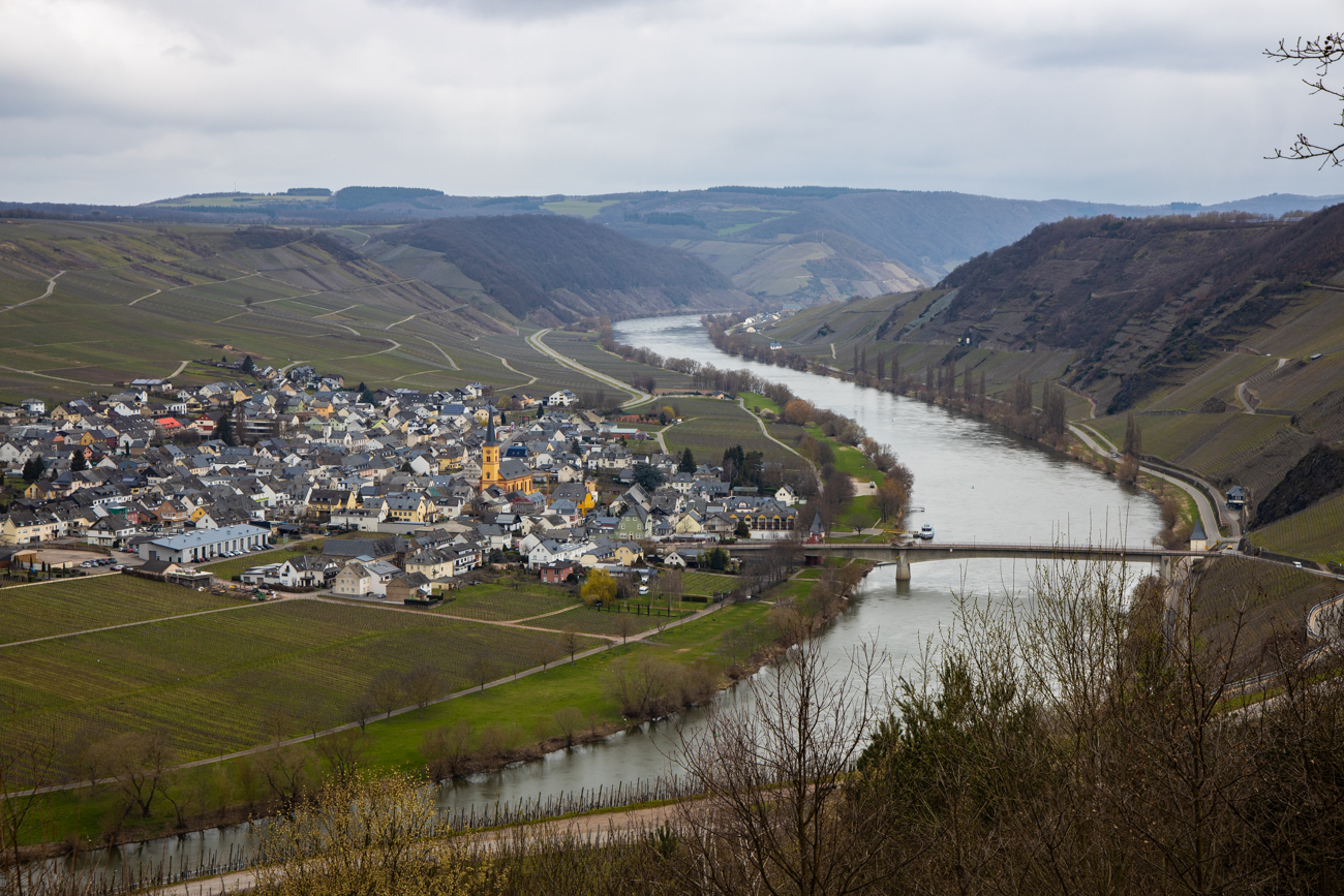 Die Mosel bei Trittenheim