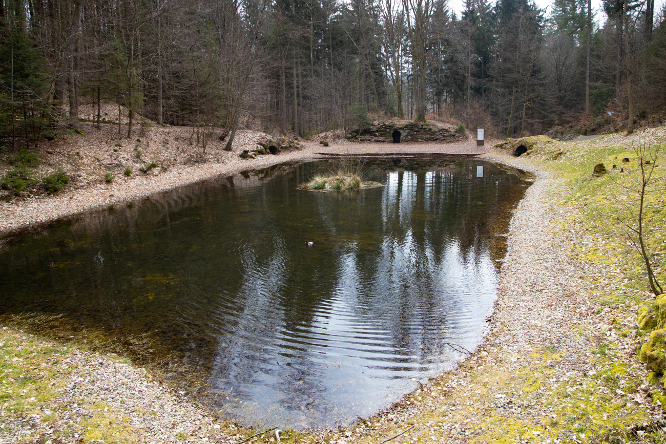 An den Schwanenweihern