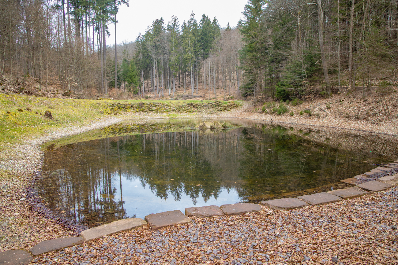 An den Schwanenweihern