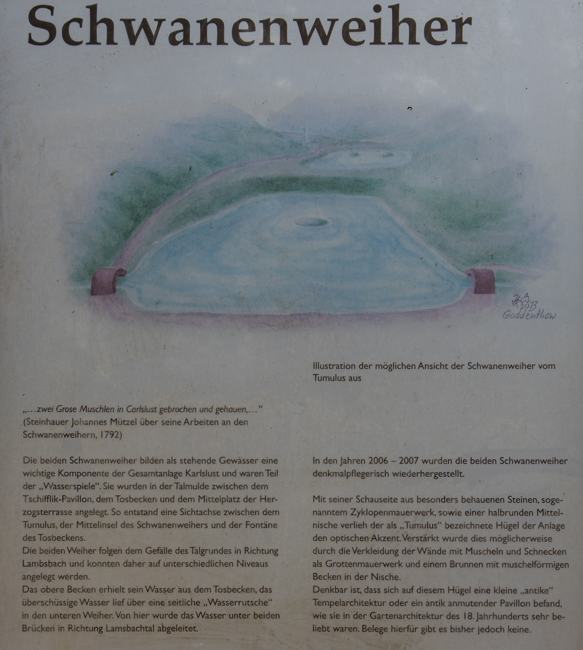 Infos zu den Schwanenweihern