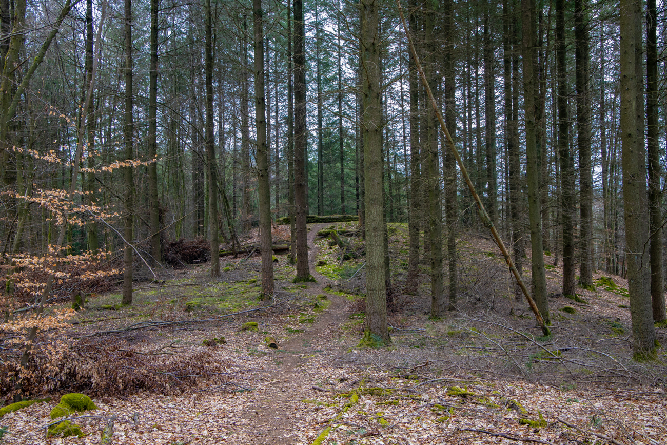 Dort oben stand einst die Eremitage