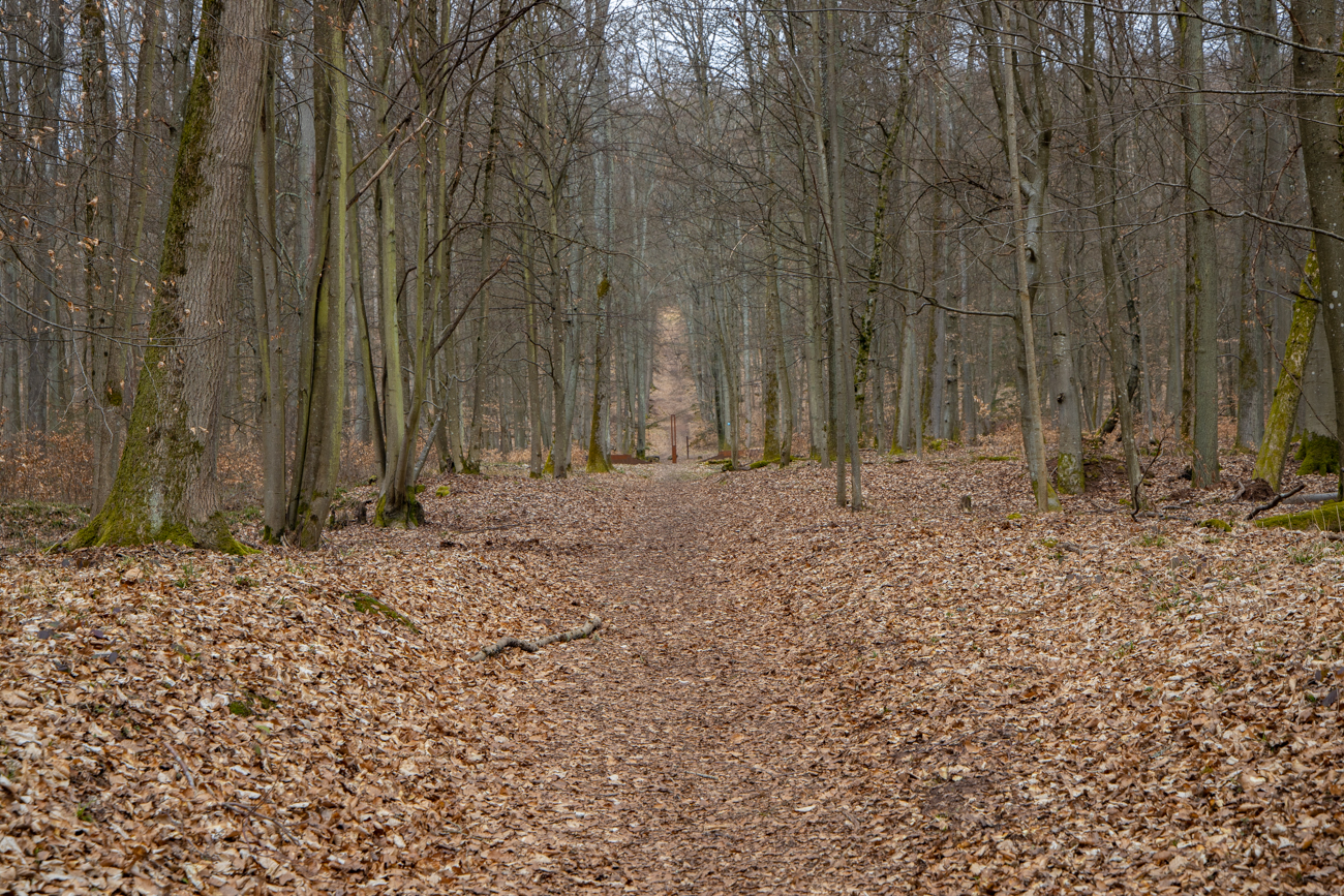 Früher standen hier die Herzogsterrassen