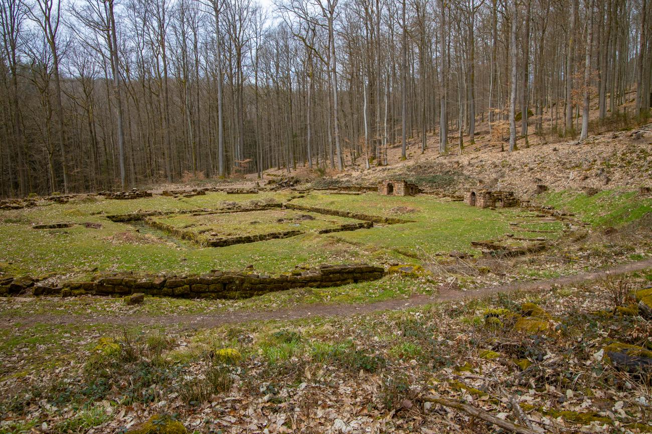 Am Bärenzwinger