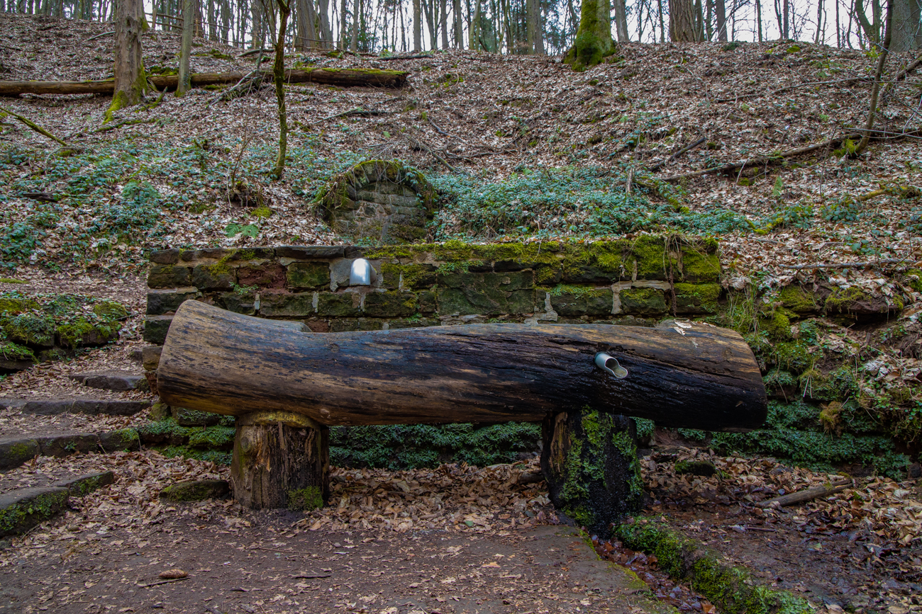 An der Karlsbergquelle