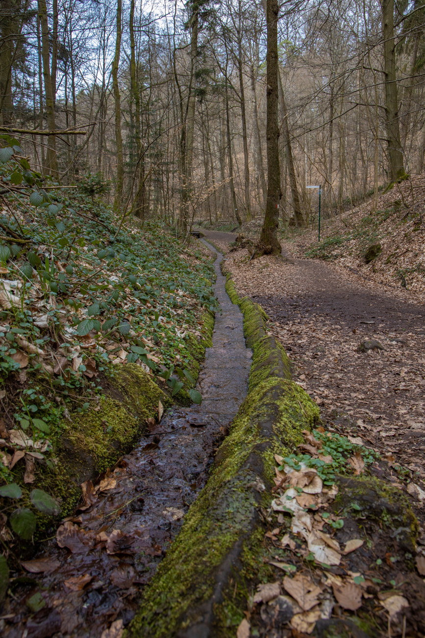 An der Karlsbergquelle