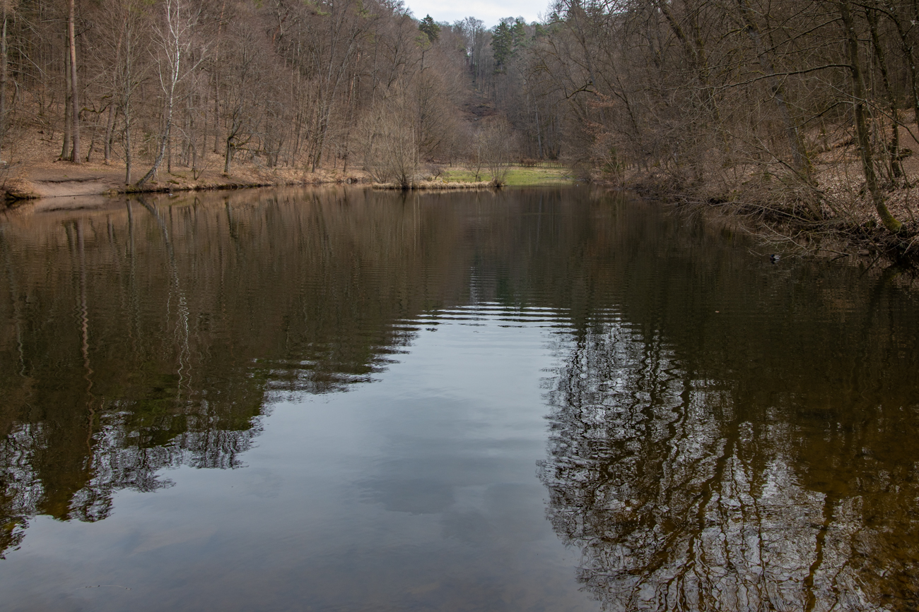 Am Karlsbergweiher