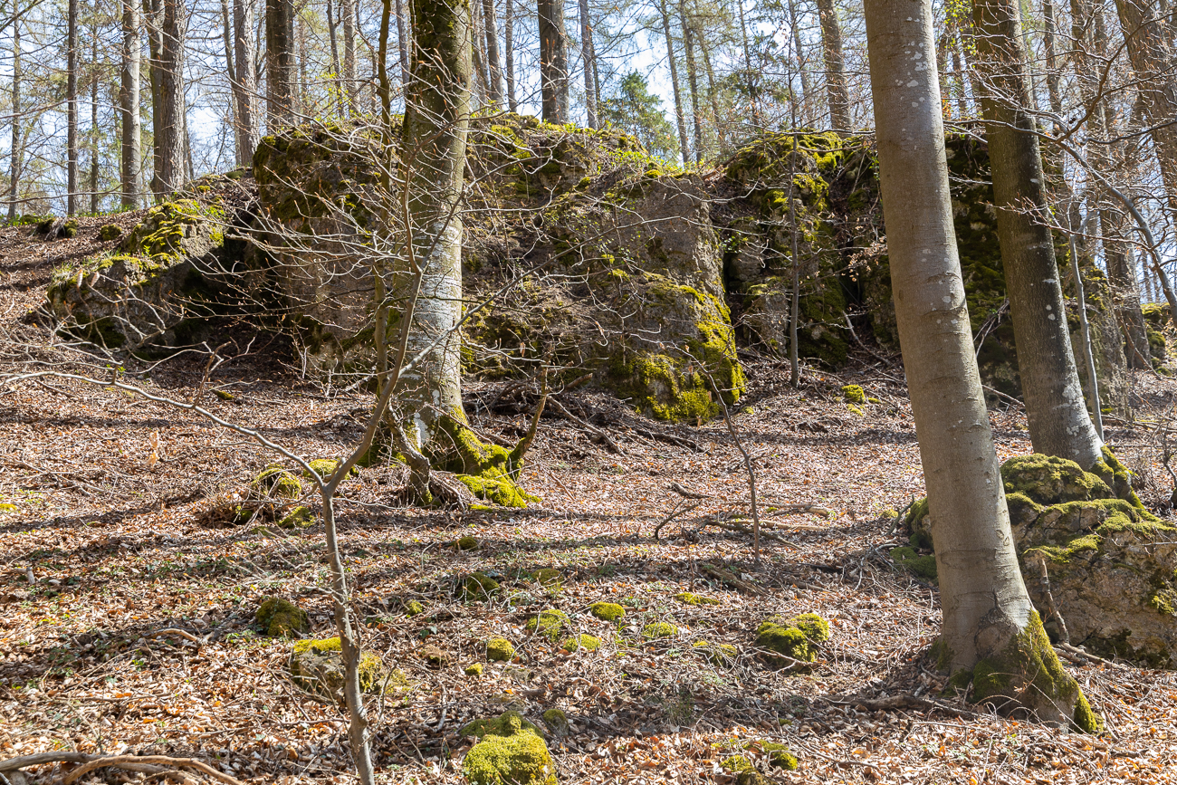 Felsen im Wald
