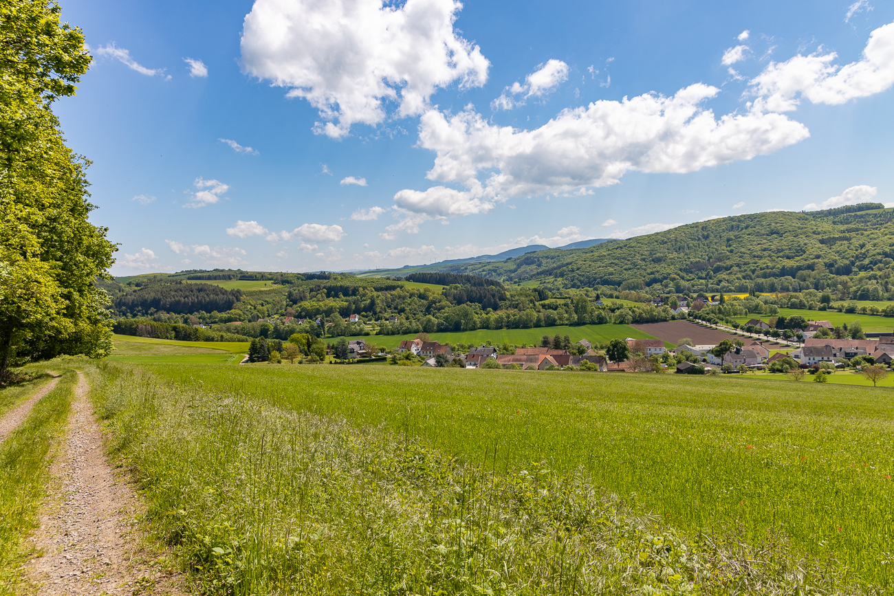 Waldsaumweg