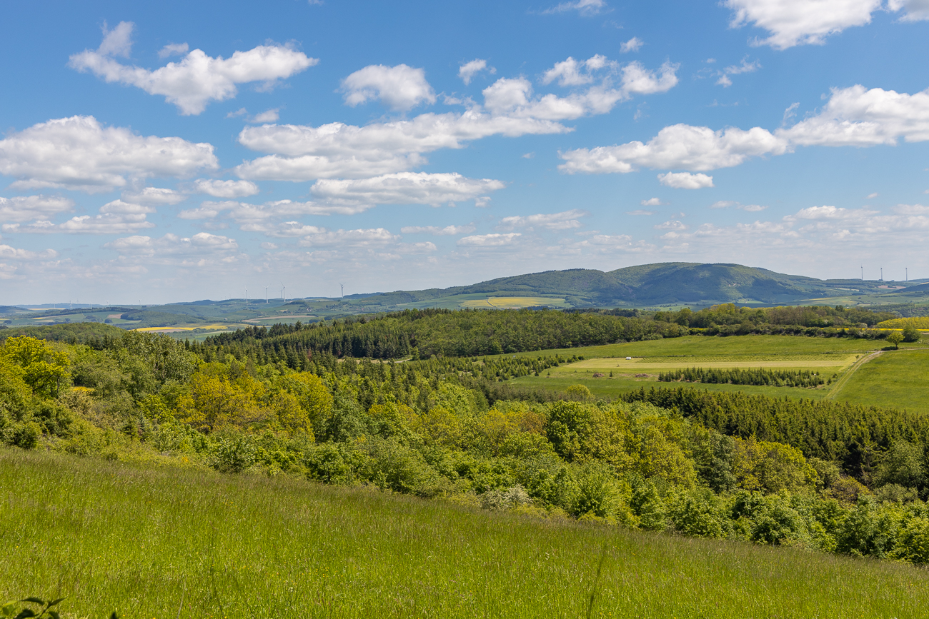 Pfälzer Hügellandschaft