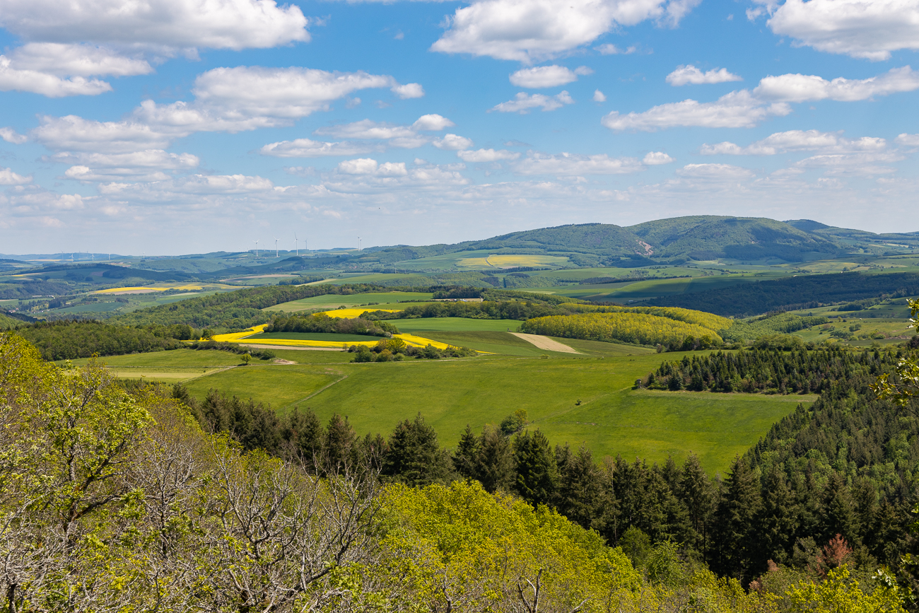 Pfälzer Hügellandschaft