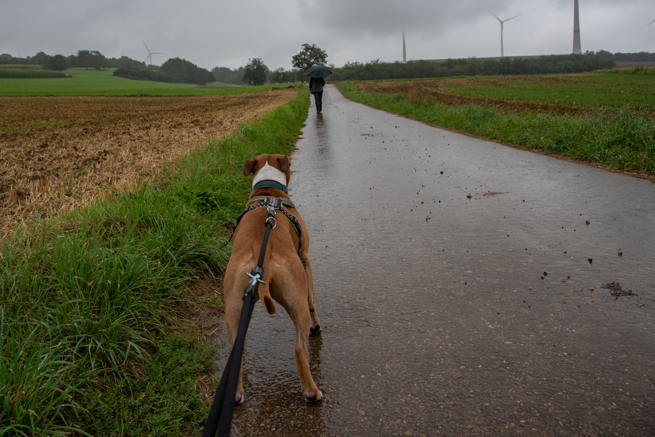 Heute ist Gretchen wieder mit dabei