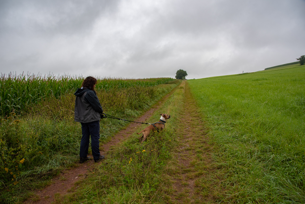 Was gibt es dort hinten?