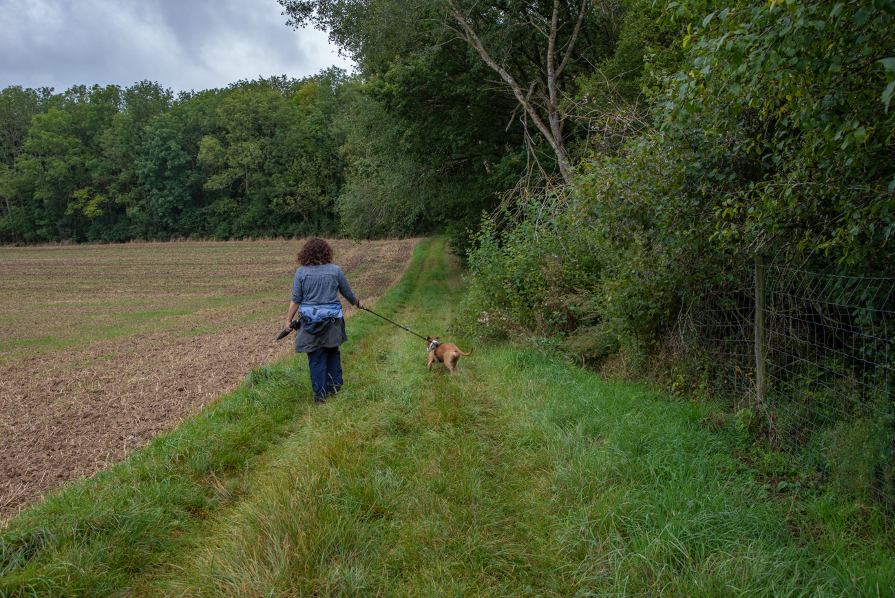 Zwischendurch hörte es auf zu regnen