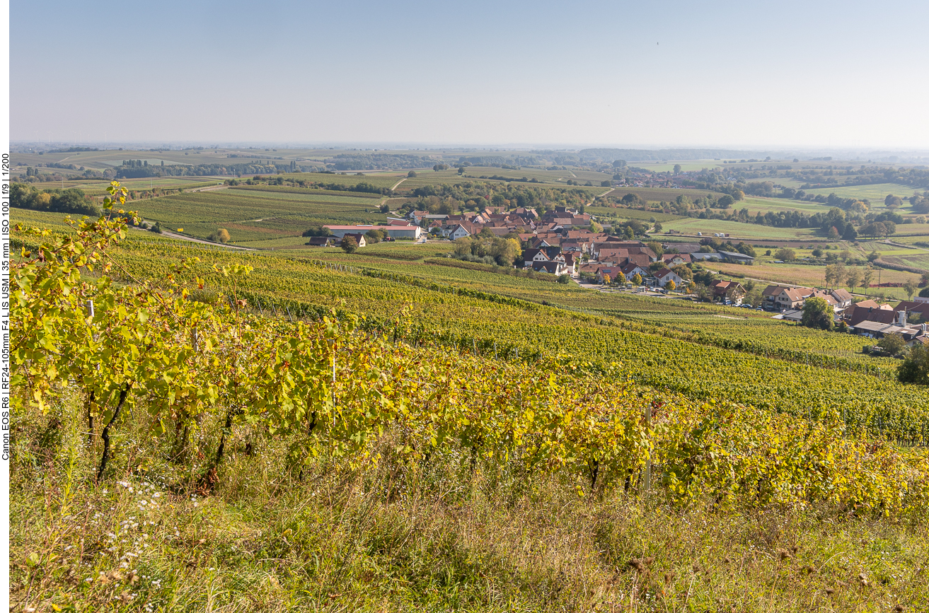 Blick über Pleisweiler-Oberhofen
