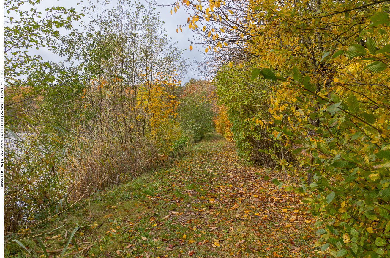 Wiesenweg am Angelteich
