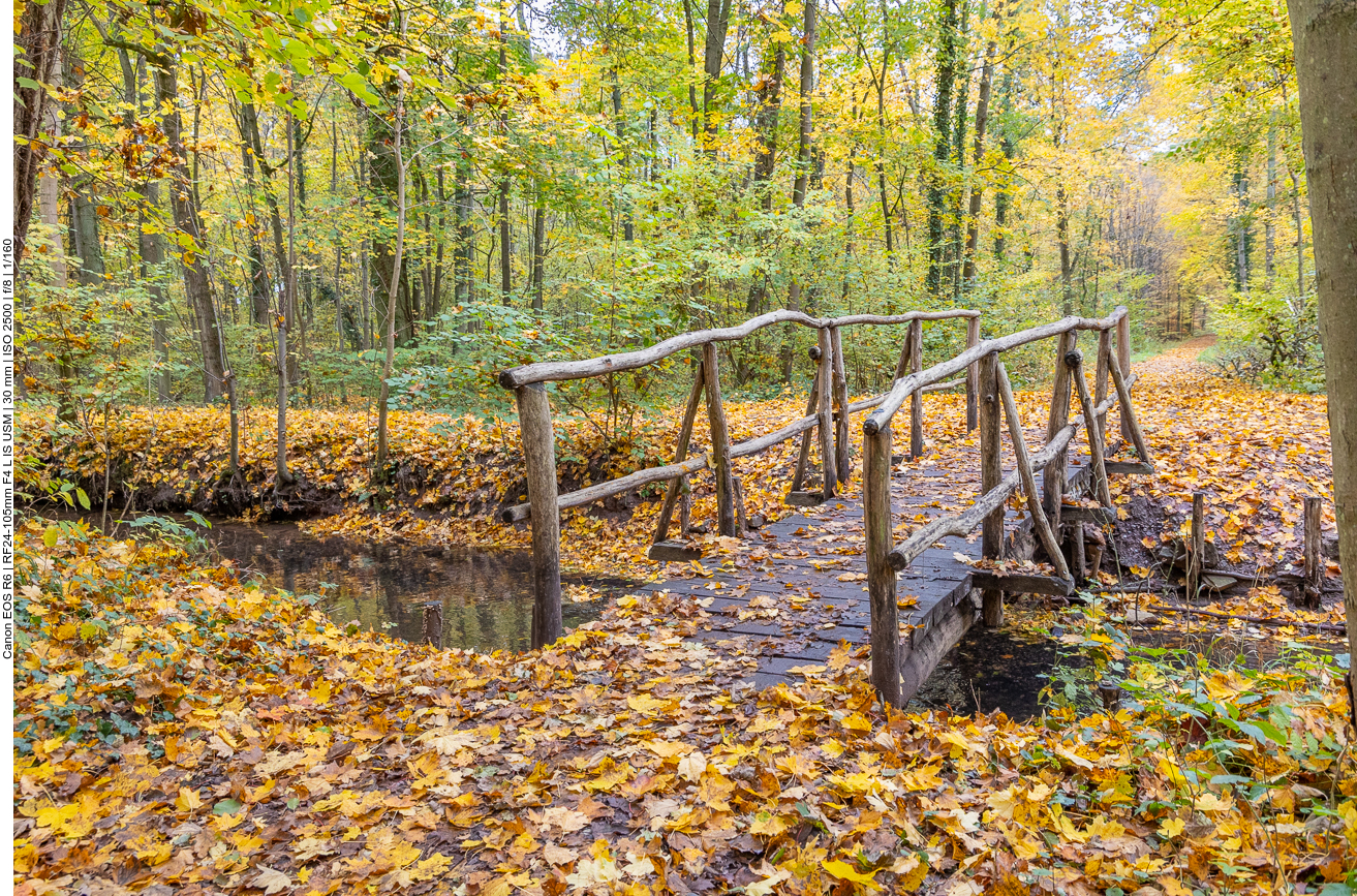 Steg über den Spiegelbach
