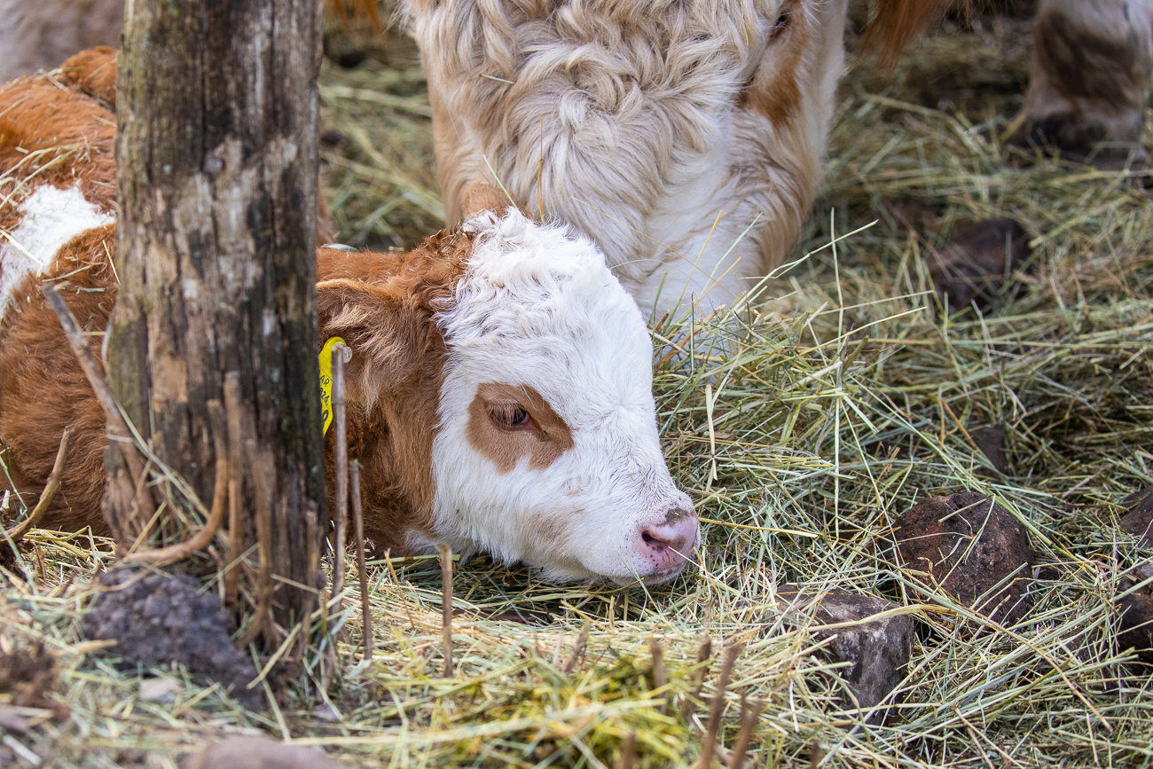Da es dort anscheinend nicht gut riecht ;-) ...