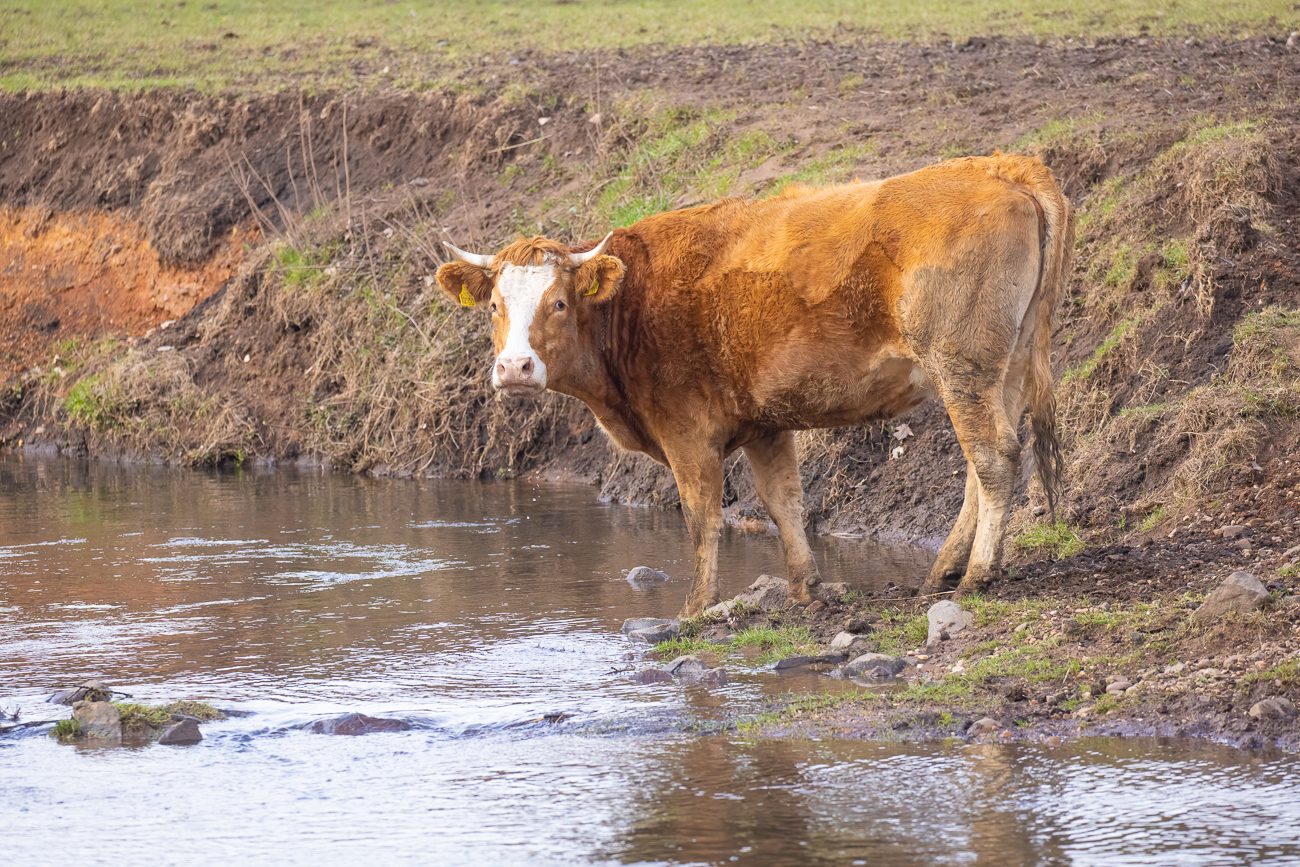 ... die schaut schon, wo ihr Nachwuchs bleibt