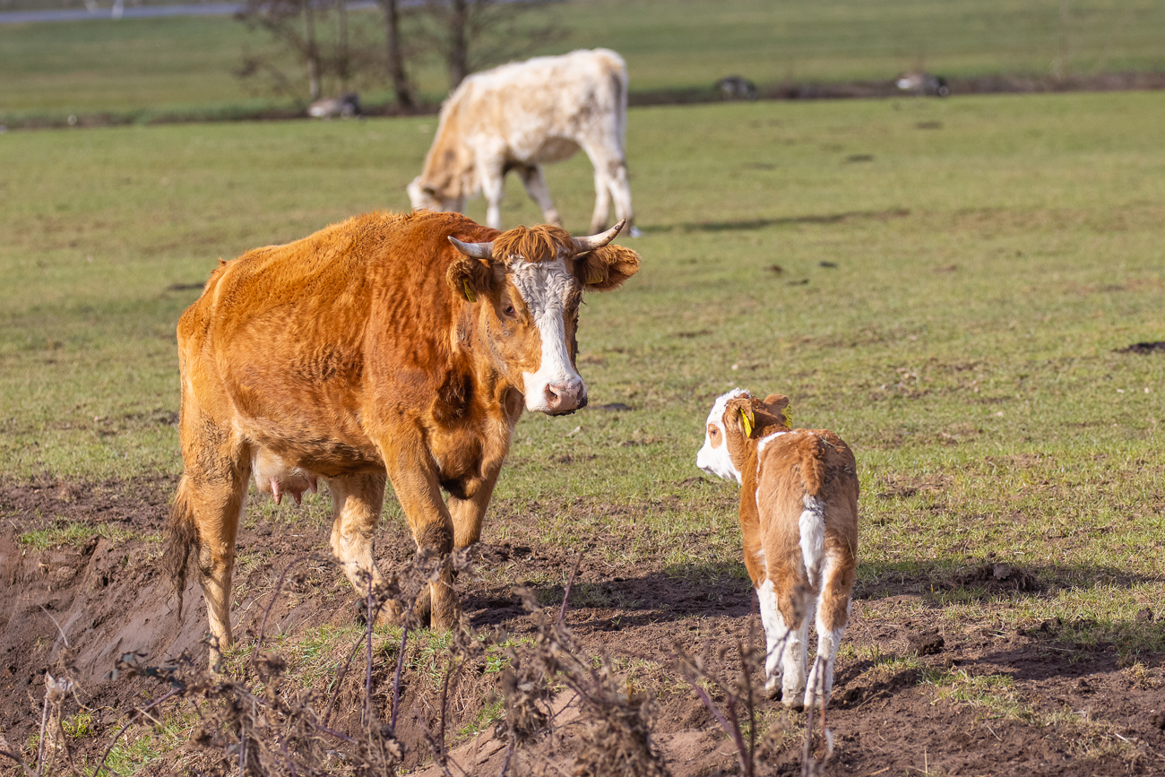 Die beiden haben sich gefunden