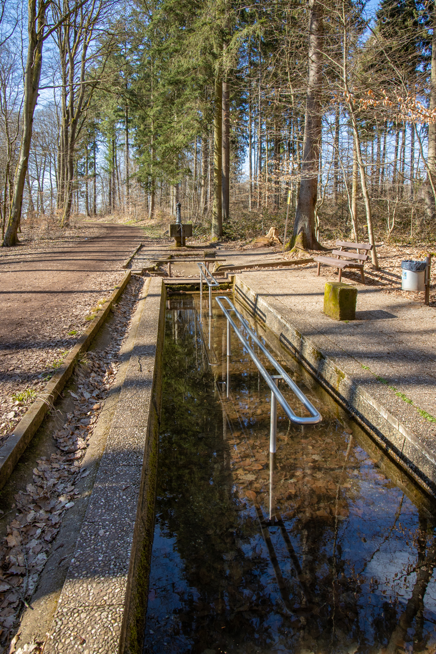 Wassertretbecken zum Kneippen