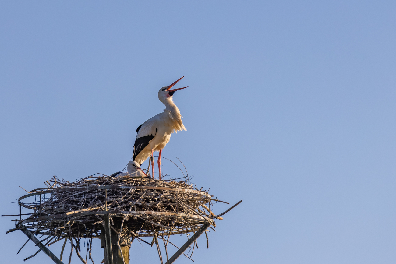 Ich bin hier der Chef ;-)