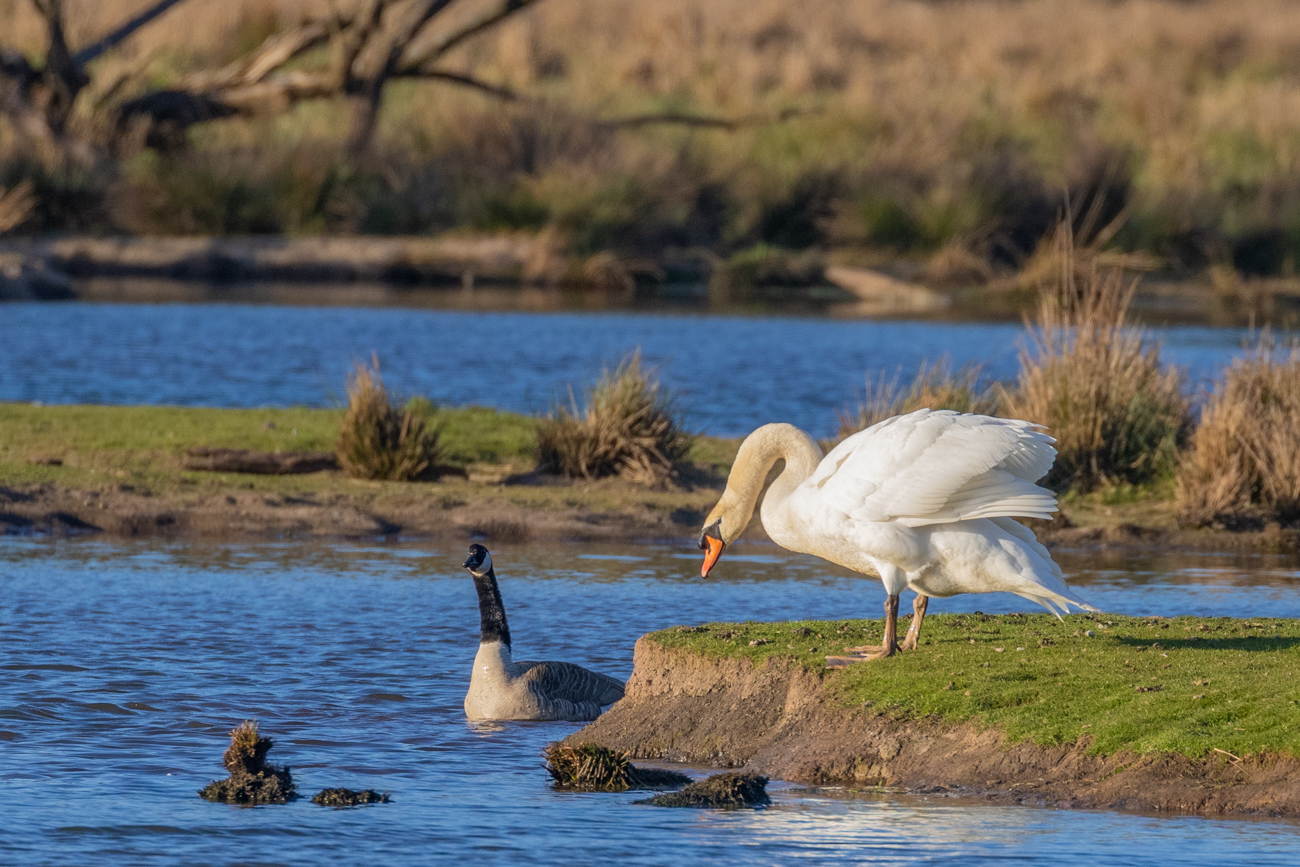Langsam kehrt wieder Ruhe ein