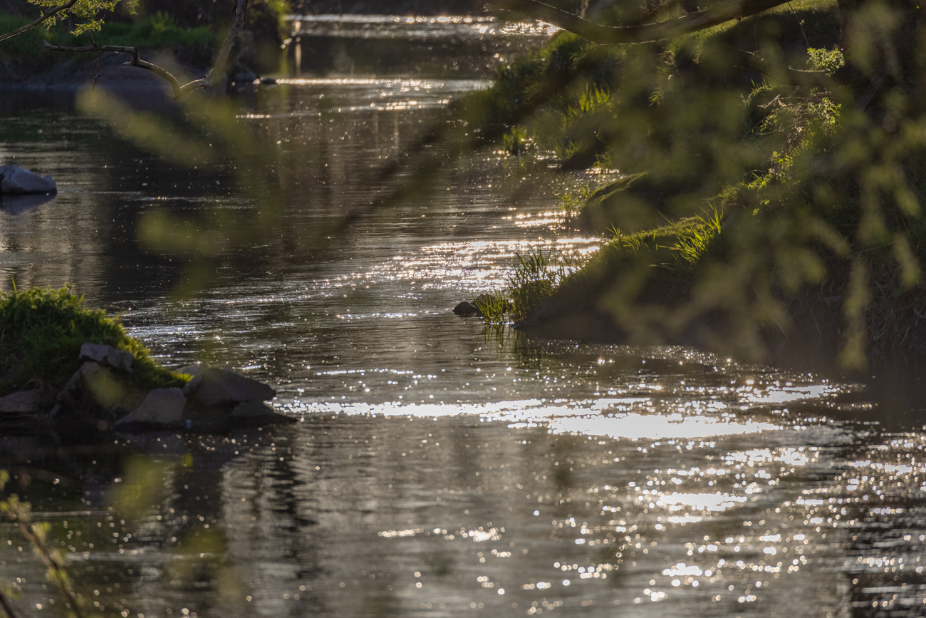 Die Sonne spiegelt sich im Bach