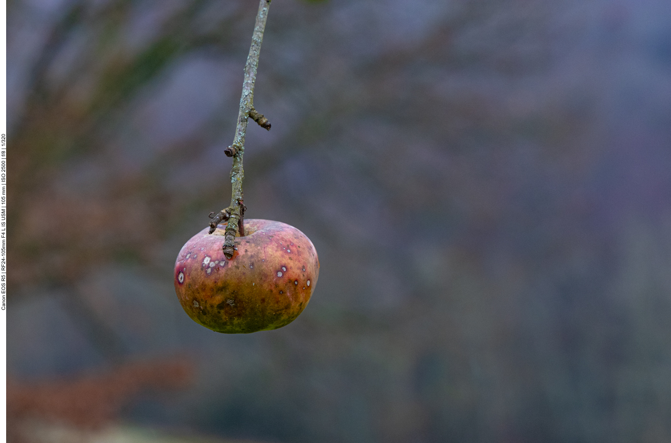 Der Apfel macht auch nicht mehr lange ...