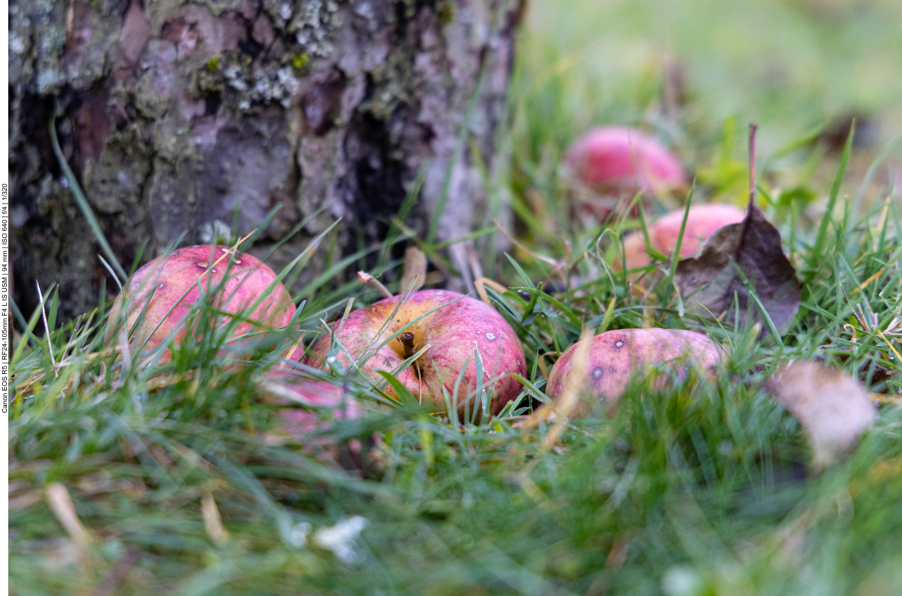 ... die Kollegen liegen schon am Boden