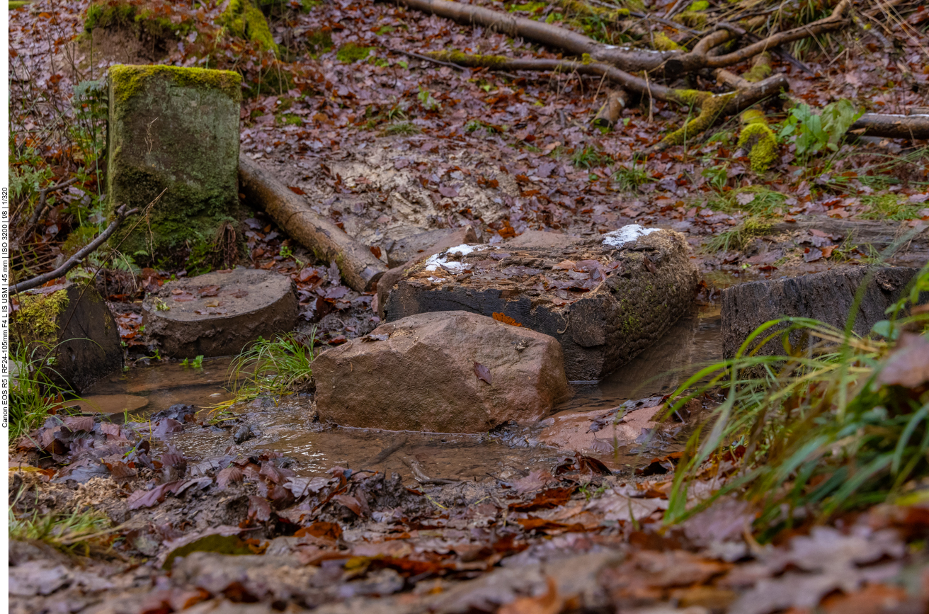 Auch hier bleiben die Schuhe nicht sauber