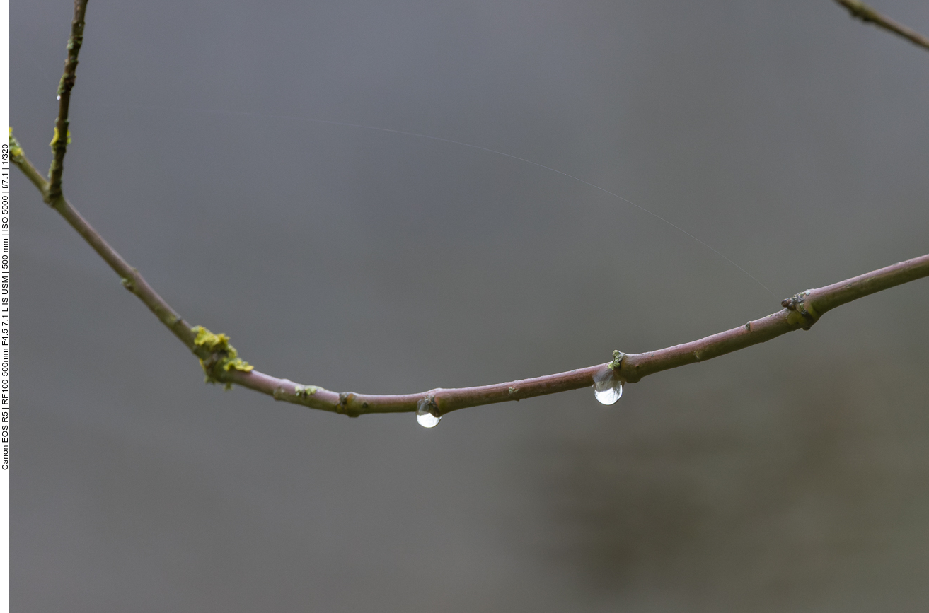 Wassertröpfchen