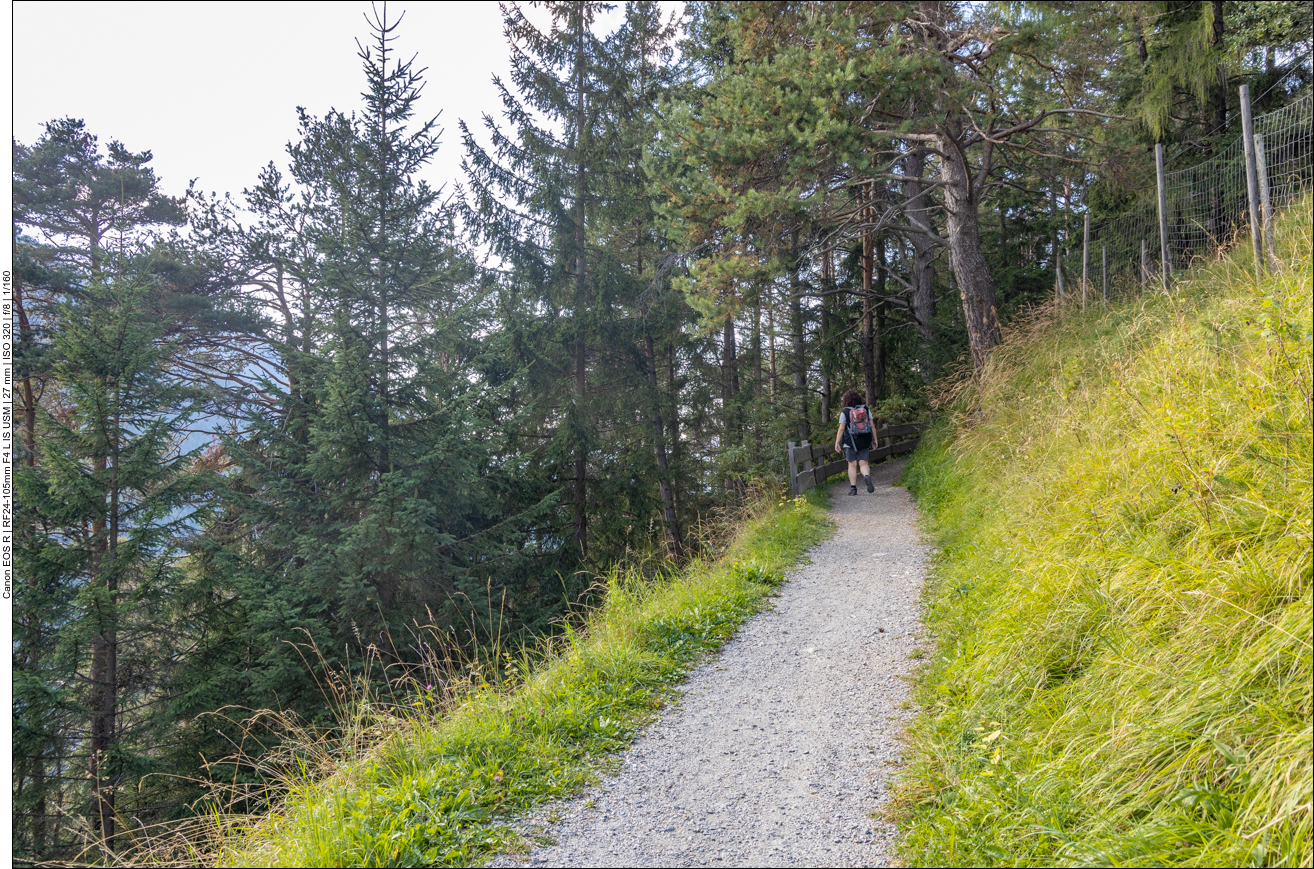 Ein Pfad führt uns den Berg hinauf