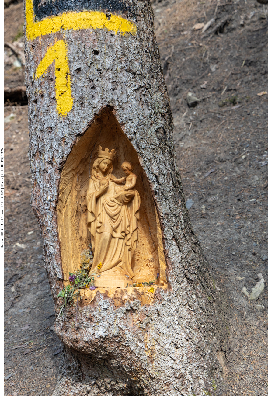 Marienstatue in einer Baumhöhle